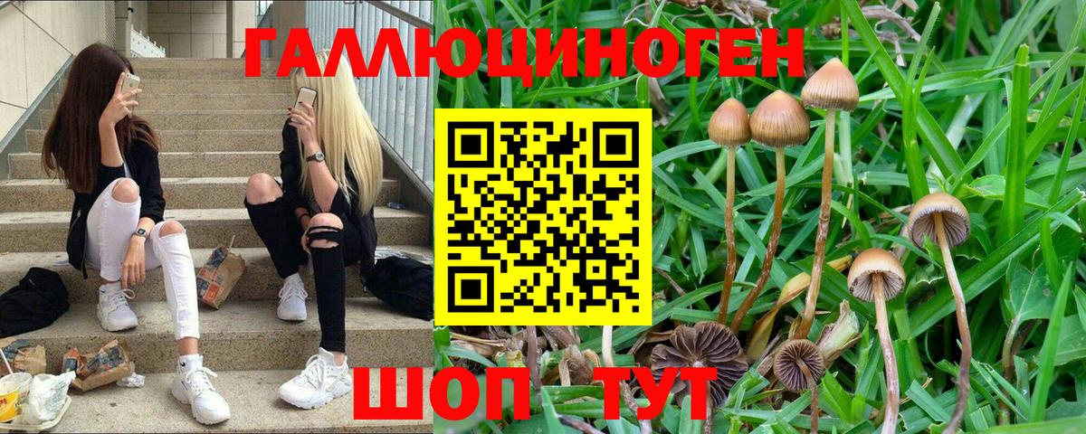 Псилоцибиновые грибы прущие грибы  Галлюциногенные грибы Magic Shrooms  где продают наркотики  Егорьевск  Вход с VPN 